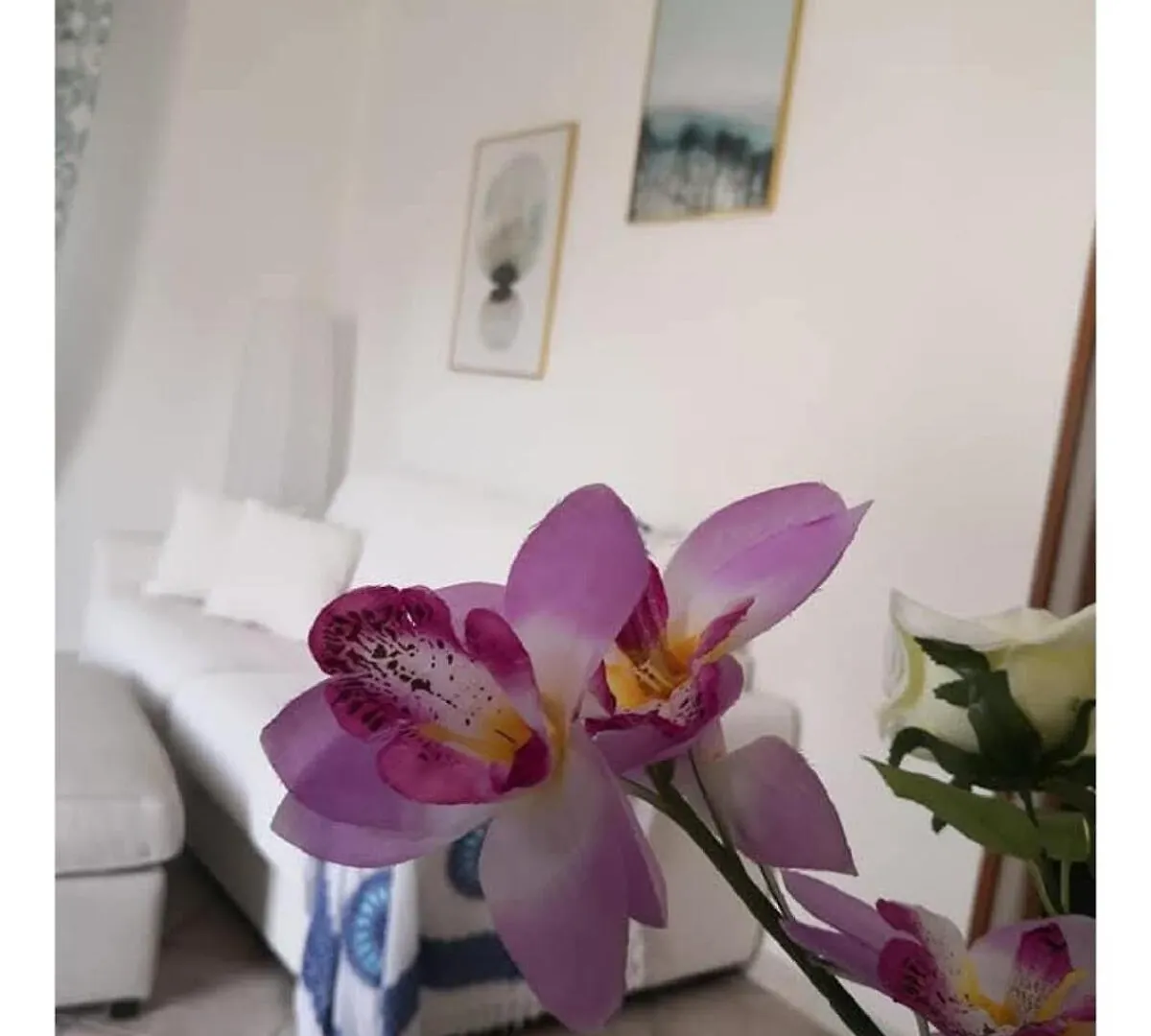 Villa Panoramica Con Piscina Altavilla Milicia