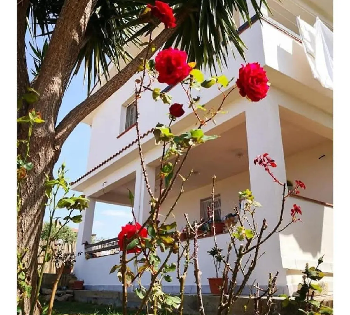 Villa Panoramica Con Piscina Altavilla Milicia